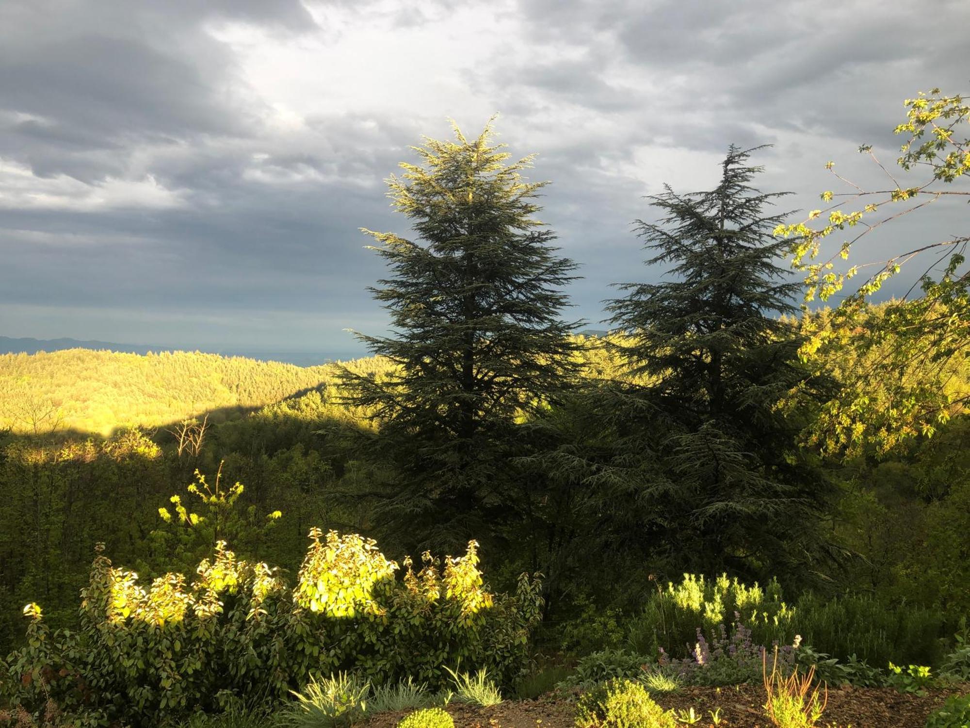 Reve D'Etoiles Bed & Breakfast Saint-Laurent-de-Cerdans Luaran gambar